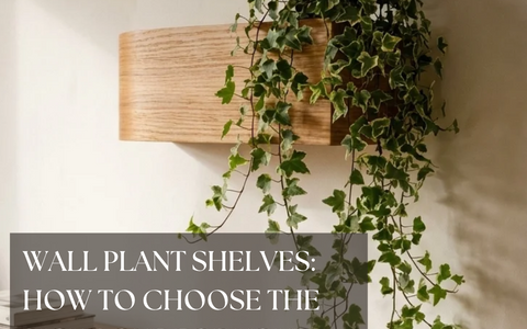 Wall Plant Shelves: How to Choose the Right One for Your Space