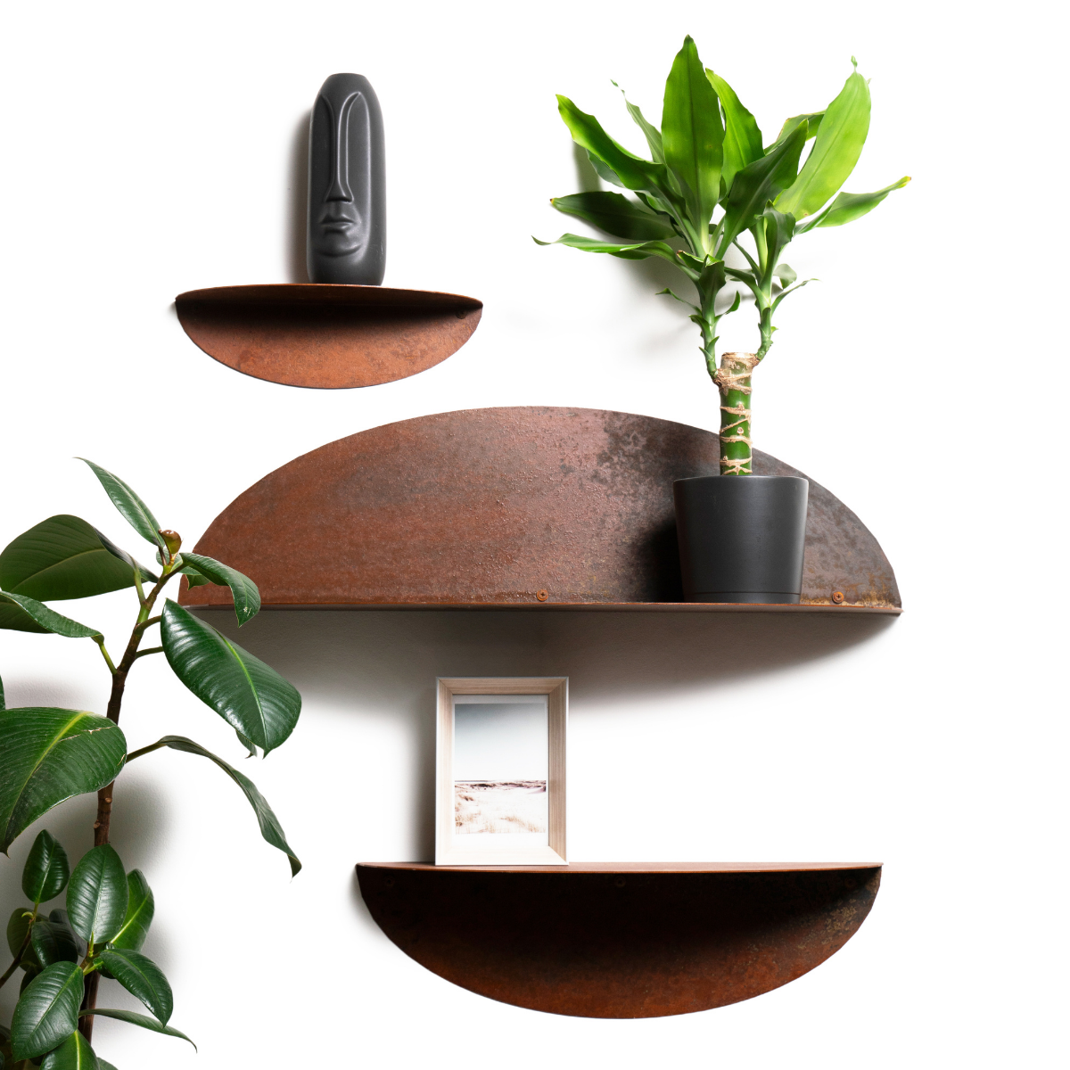 ellipse oversize hanging planter Rustic Metal Shelf for Wall, Industrial Design Ellipse Set of 3