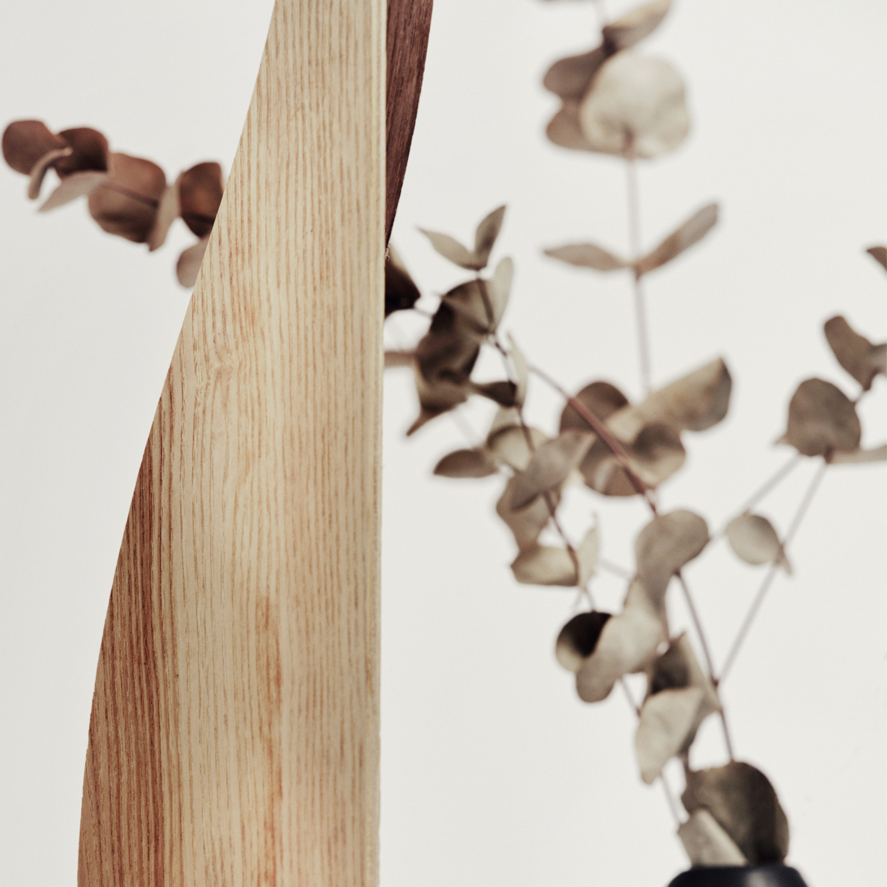 Close-up view of ashwood pattern for modern standing toilet paper holder