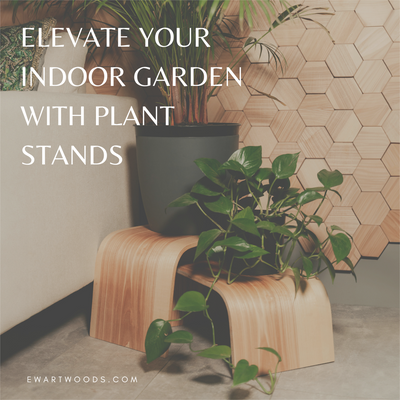 Spring Renewal: Elevate Your Indoor Garden with Plant Stands