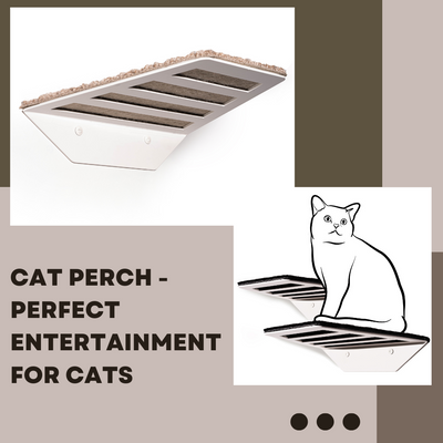 Cat perch - perfect entertainment for cats