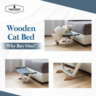 Cama de madera para gatos:¿Por qué comprar una?