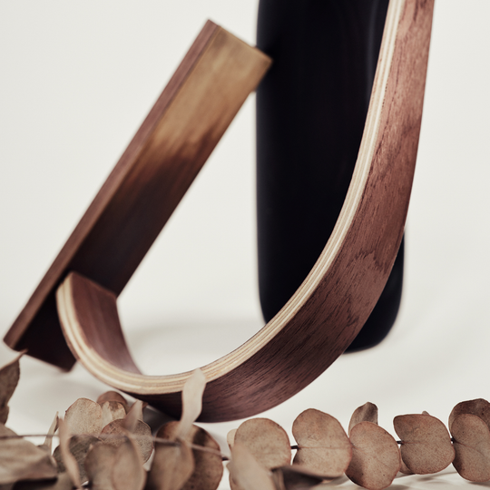 Wall Mounted Toilet Paper Holder with Brass