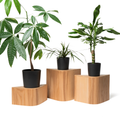 Plant stand indoor wood set of 3 unique design