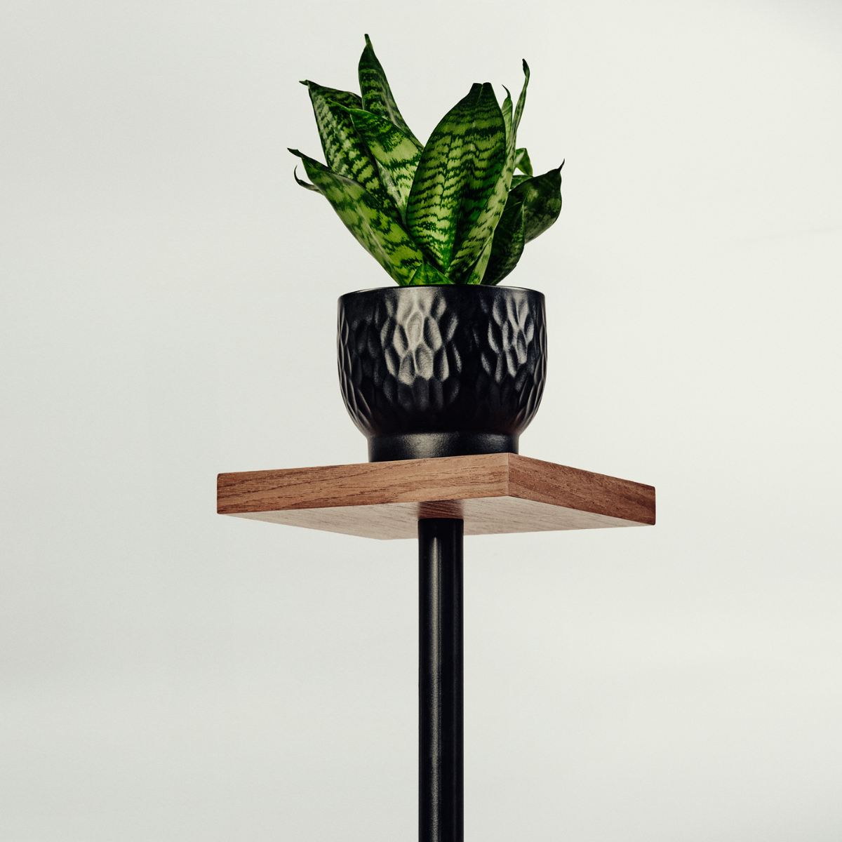 Plant Stand CAVALLO